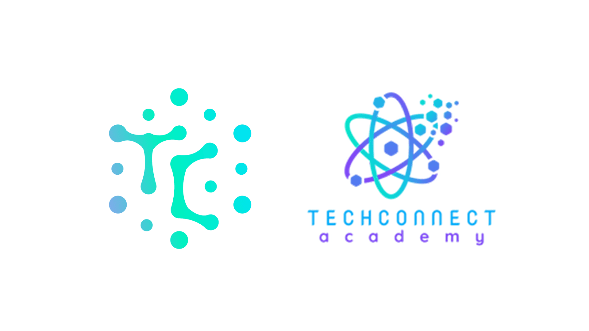 TechConnect Internship