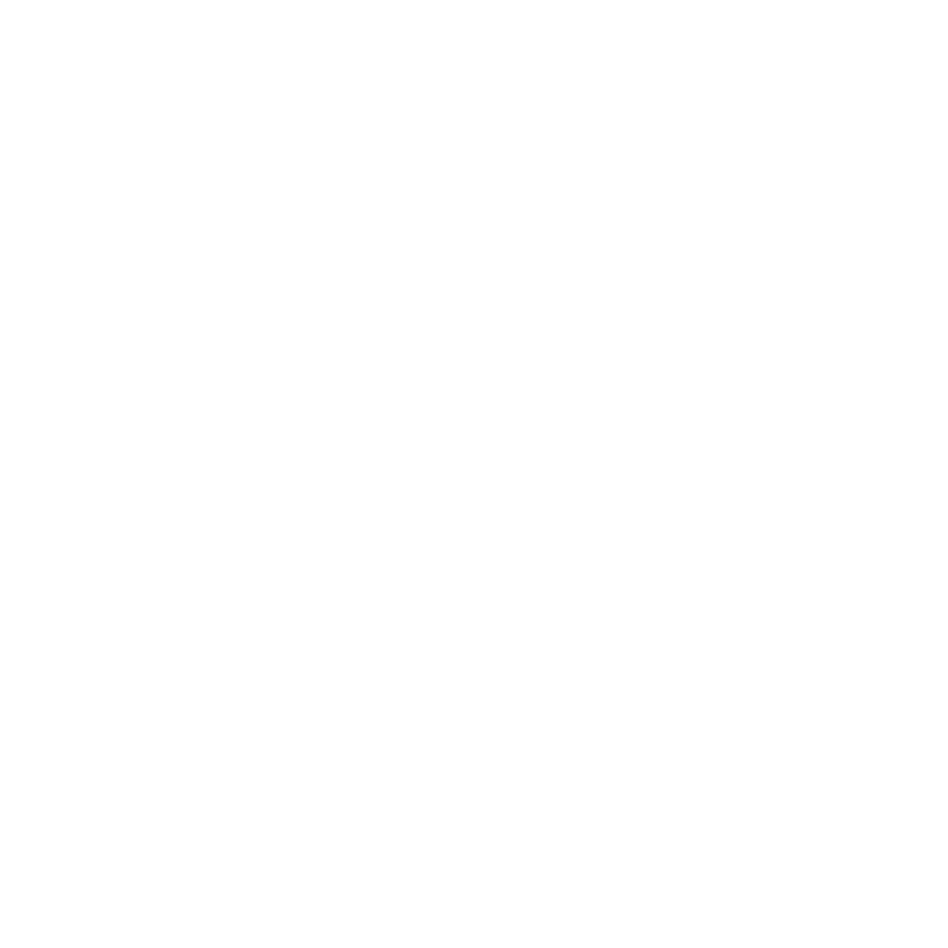 TechConnect (formerly Sinar Mas Mining)